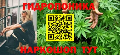 ALPHA PVP Аша