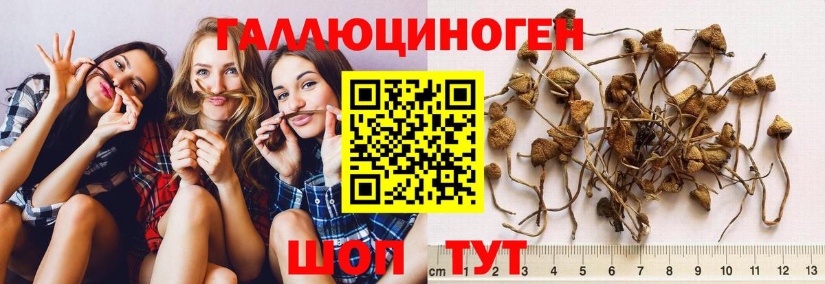 Галлюциногенные грибы прущие грибы Кимры